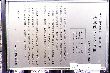 sakura03313